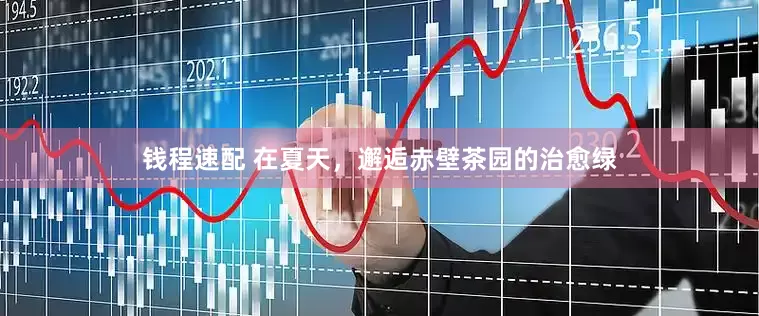 钱程速配 在夏天，邂逅赤壁茶园的治愈绿