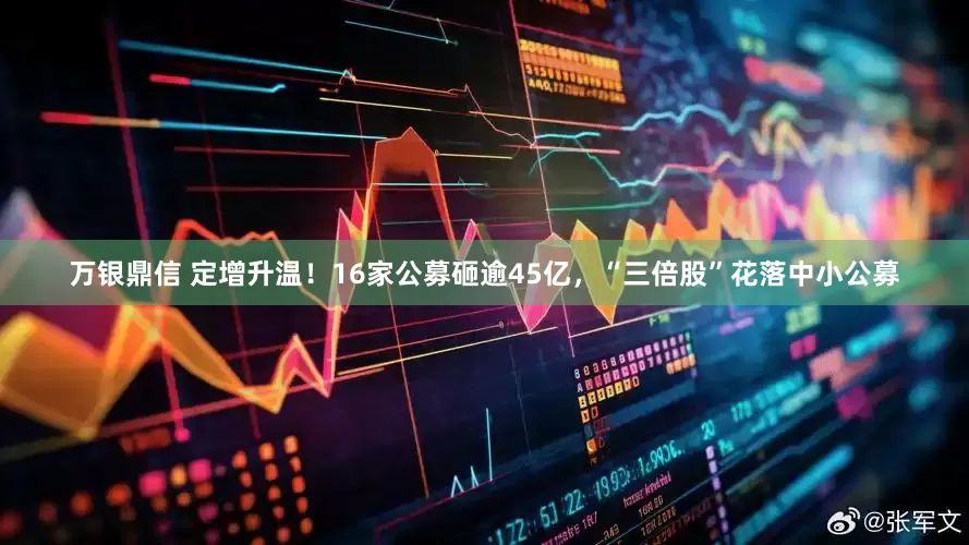 万银鼎信 定增升温！16家公募砸逾45亿，“三倍股”花落中小公募